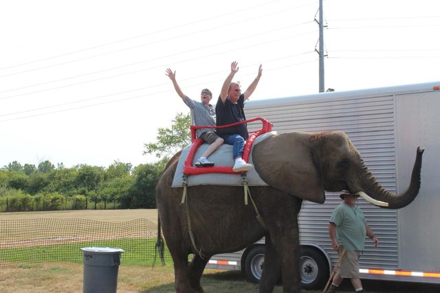 Two riders waving from an elephant