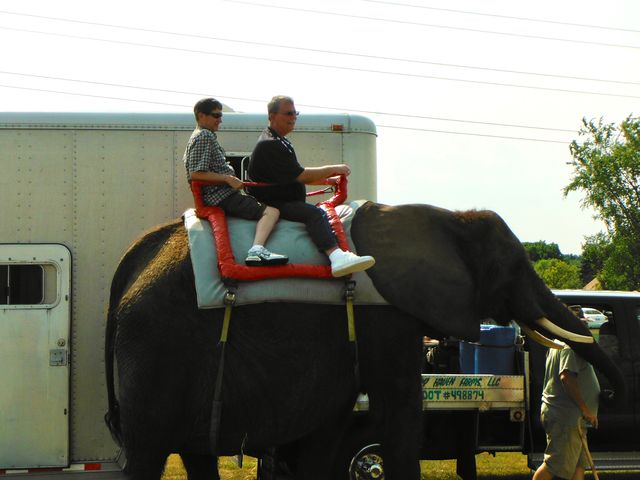 Two people riding an elephant, another view