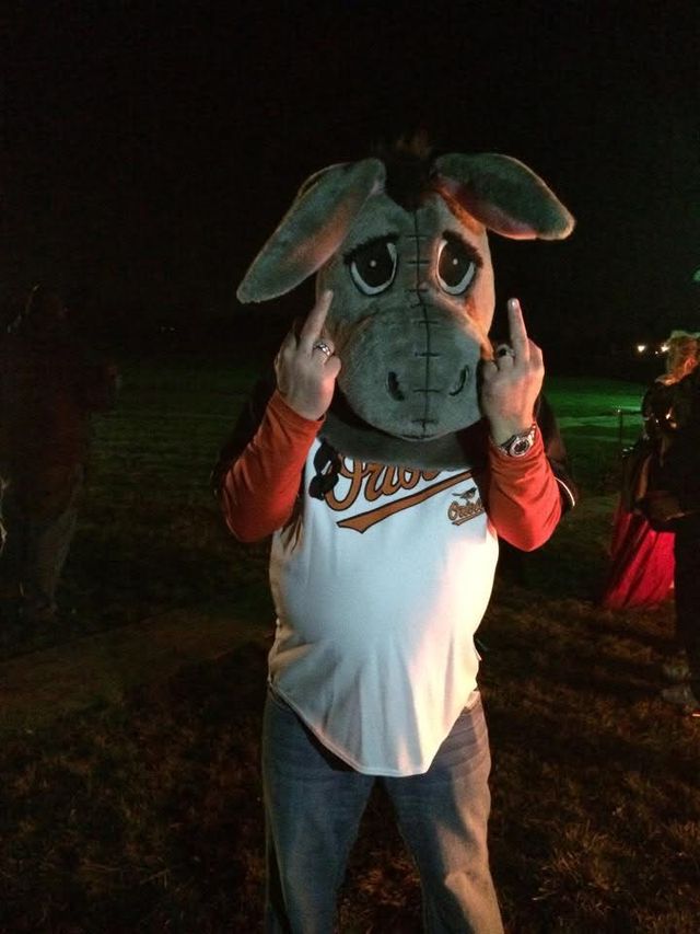 A person in a donkey mascot costume at night