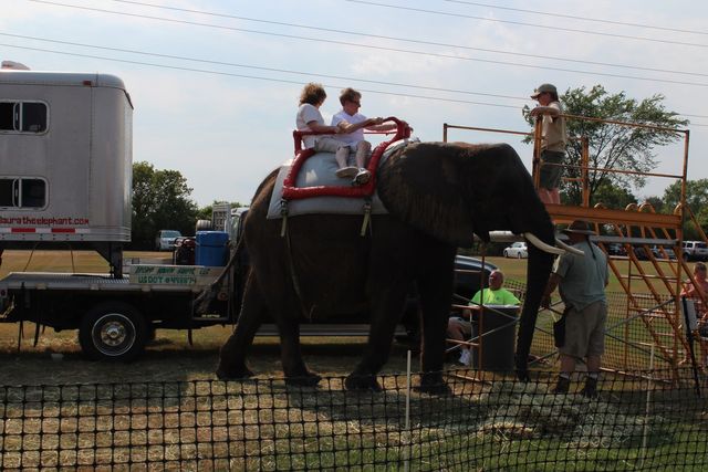 Riders on an elephant at an outdoor event